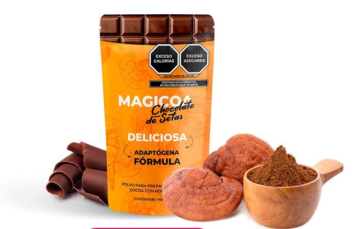 Magicoa chocolate de setas